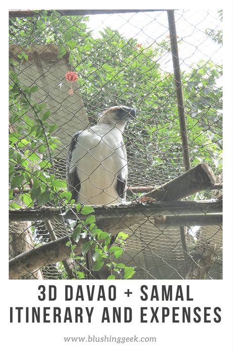 3 Days Davao and Samal DIY Itinerary – Travel Tips & Expenses