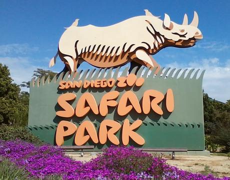 Seven Best Things to Do for a Perfect Family Holiday in San Diego, California