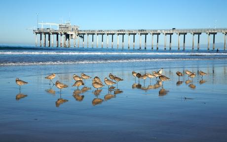 Seven Best Things to Do for a Perfect Family Holiday in San Diego, California