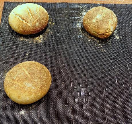 Sourdough Kamut Bread Rolls!