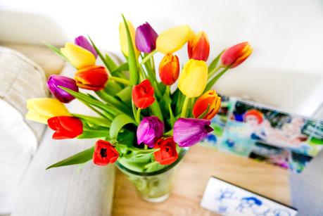 spring, rainbow tulips