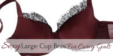 Sexy Large Cup Bras for Curvy Gals