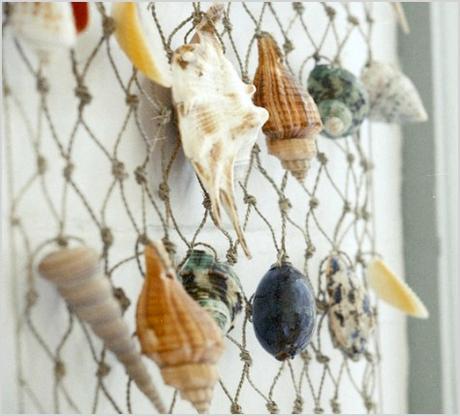 sea shell wall hanging