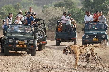 Discover India like Never Before with your Kids and Family