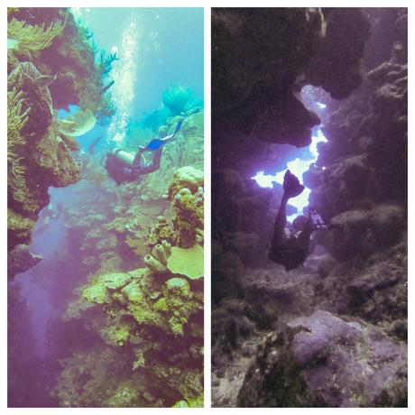 Diving in Roatan: Tobri Divers