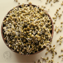 How to Sprout Mung Beans?