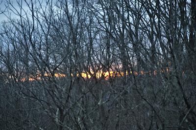 At the Very Crack of Dawn