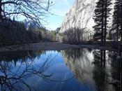 YOSEMITE: CSLA Conference 2018--Elevating Learning Through Reflection