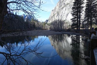 YOSEMITE: CSLA Conference 2018--Elevating Learning Through Reflection