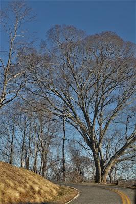 On Riddle Farm Road