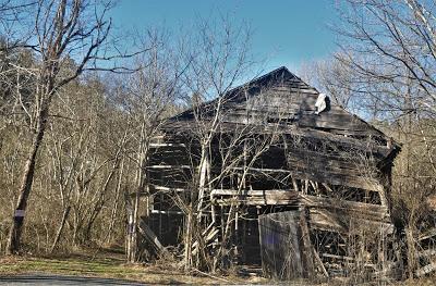 On Riddle Farm Road