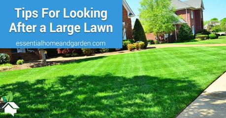 Tips For Looking After a Large Lawn