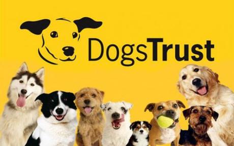 Dogs Trust – Why You Should Give to this Worthy Cause