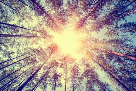 The 'Mandela Effect' And How Your Mind Is Playing Tricks On You