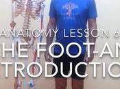 Video Week: Anatomy Feet