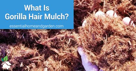 What Is Gorilla Hair Mulch?