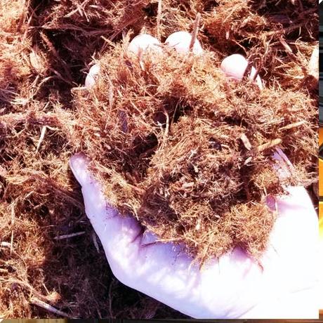 What Is Gorilla Hair Mulch?