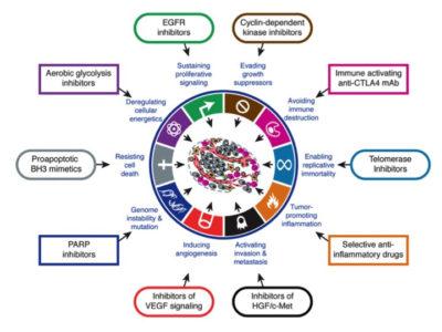 Attacking cancer’s weakness: not its strengths