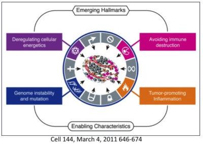 Attacking cancer’s weakness: not its strengths