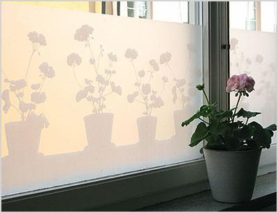 everything i know about window film