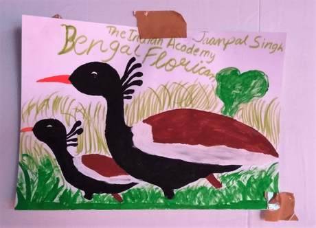 Bird paintings by school children