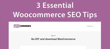 Ecommerce Rich Snippets for SEO & CTR