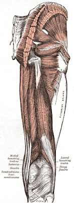 Friday Q&A: Recovering from Piriformis Syndrome