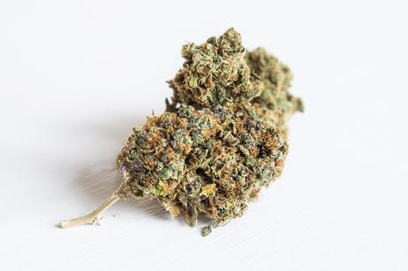 Medical Marijuana Has No Health Risks, World Health Organisation Confirms weed 2105966 960 720