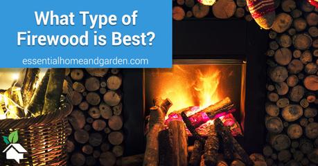 Types Of Firewood – A Simple Guide