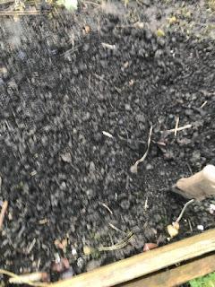 Product Review: Earthcycle Compost Soil Conditioner and Cow Compost