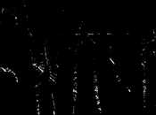 Pyewacket Will Releasing Digital 16th April 23rd April.