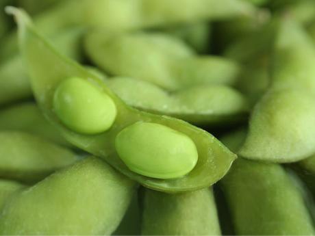 Top 6 Healthy Food That Can Do Wonders For Your Skin!