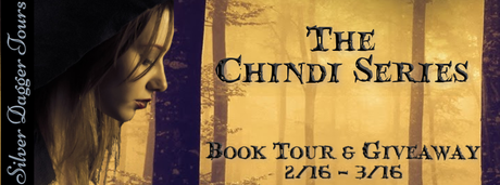 The Chindi Series by Brandy Nacole