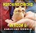 HATCHING CHICKS IN ROOM 6 is a CYBILS WINNER for Elementary Non-Fiction