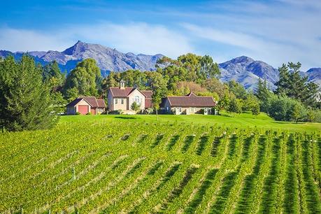 Looking for the Best Wine Destinations Around The World?