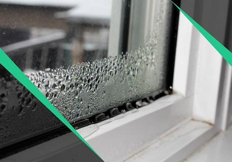 Your Windows’ Life Cycle: Should You Repair or Replace Them?
