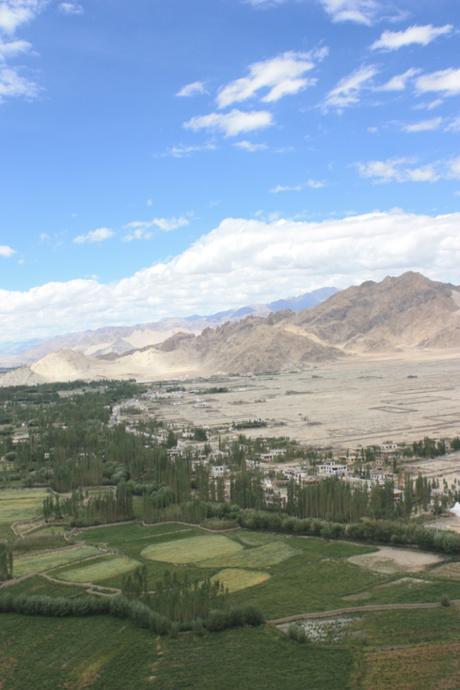 DAILY PHOTO: Oasis Edge, Ladakh