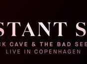 Nick Cave Seeds: Distant Live Copenhagen