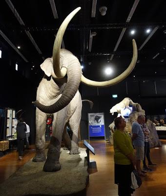 MAMMOTHS: GIANTS OF THE ICE AGE at the Australian Museum, Sydney