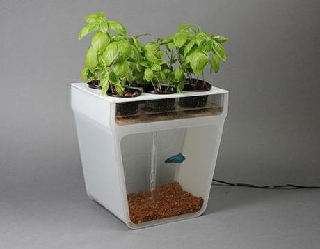 4 Innovative Home Appliances Meant For Making Your Daily Chores Easy!