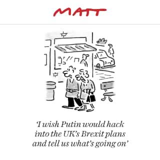 Image result for matt cartoons