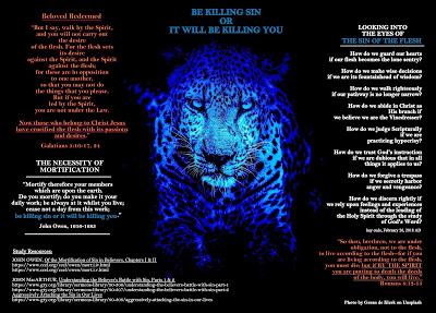 Killing sin, Kay Cude poetry, and John Owen Killing sin, Kay Cude poetry, and John Owen