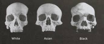 The book that changed America: Darwin, Slavery, and God