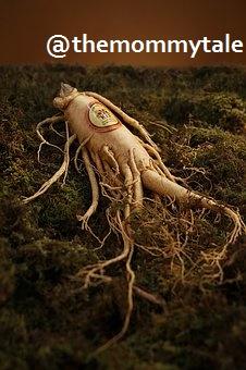 Magical root for a women health and beauty – Ginseng