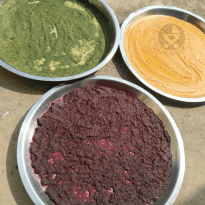3 Ingredient Natural Holi Colors Recipe