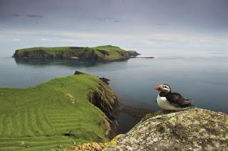 Brighter future for seabirds as Shiants declared rat free