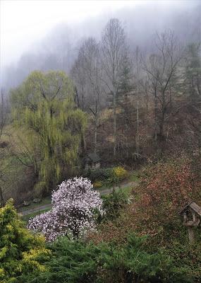 One Would Think It Was Spring