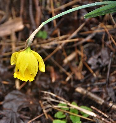 One Would Think It Was Spring