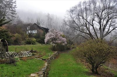 One Would Think It Was Spring