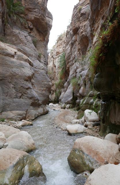 Rasoun, Jerash, Dead sea, Wadi Rum & Petra, Jordan
